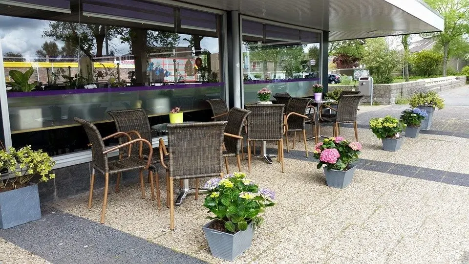 Aziatisch Tapas Restaurant Dynasty in Alkmaar