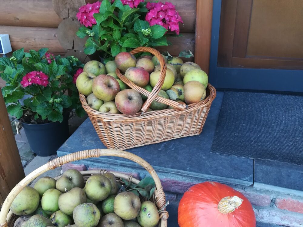 B&B Bij de Appelhof in Valkenswaard