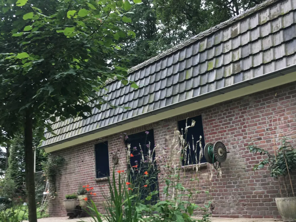 Bed and breakfast Klein Valkenhorst in Leende