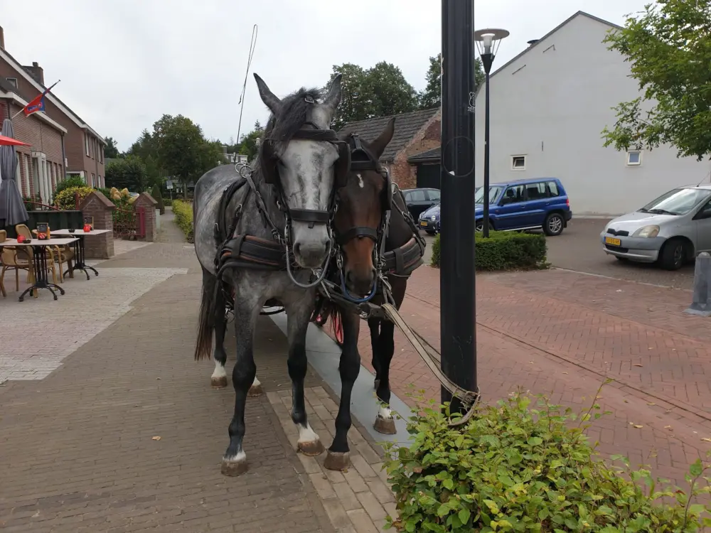 Café Sjimmie's in Riethoven