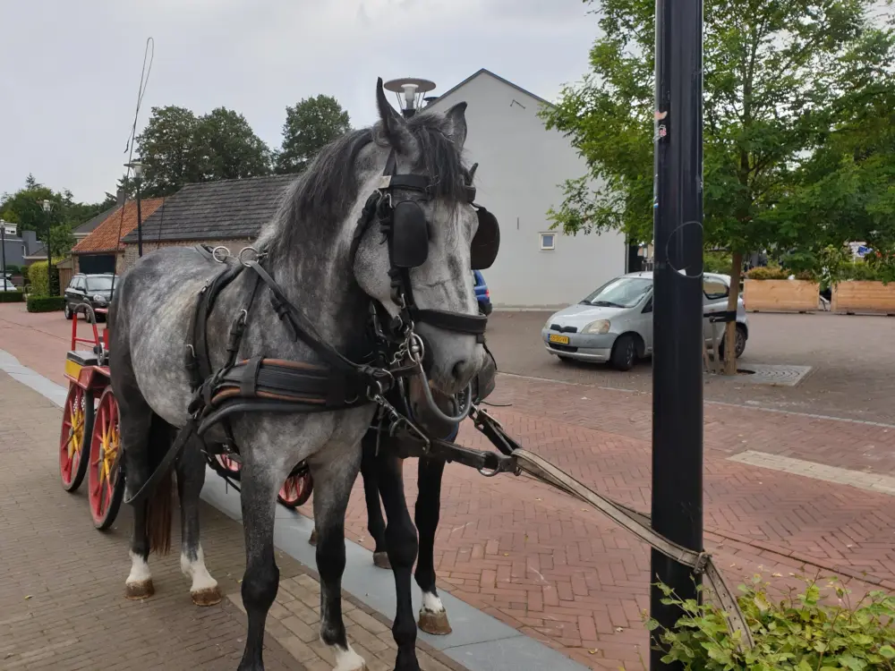 Café Sjimmie's in Riethoven