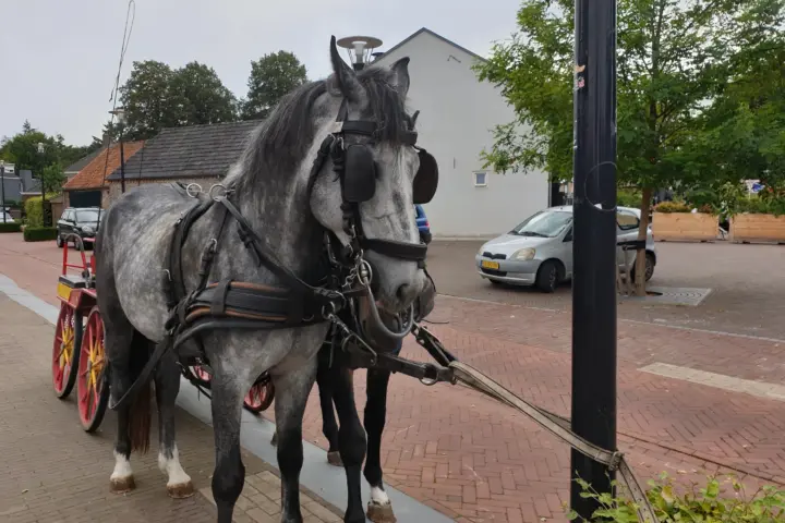 Café Sjimmie's in Riethoven