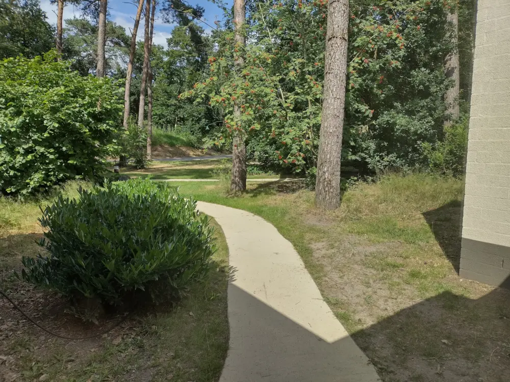 Cottage 43 in Westerhoven