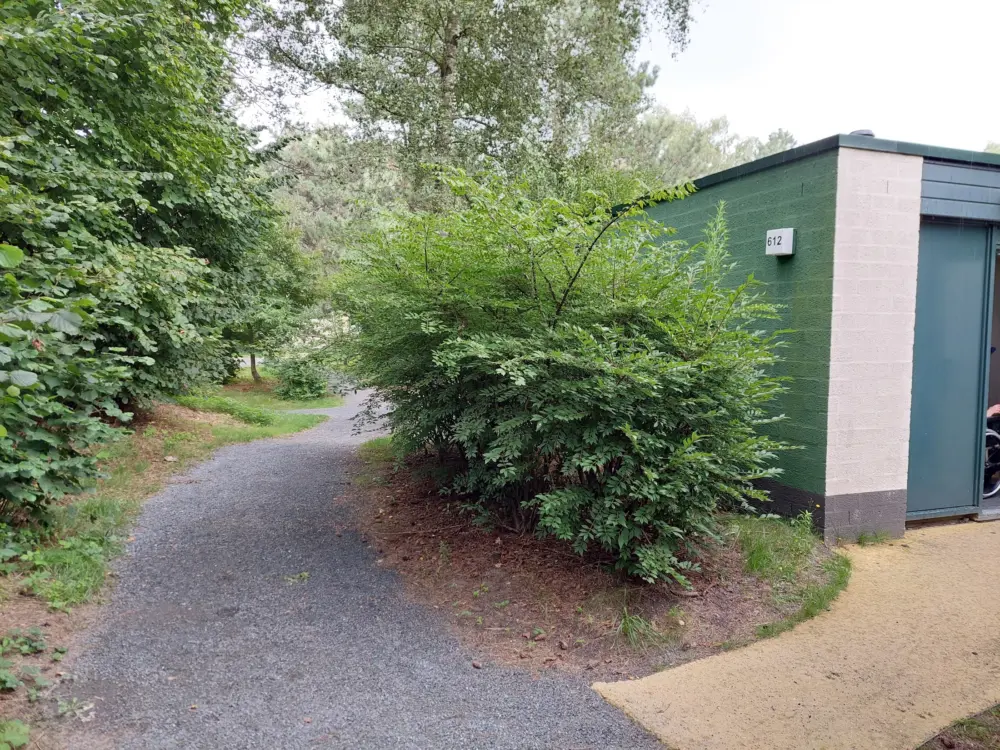 Accommodatie Cottage 615 in Westerhoven