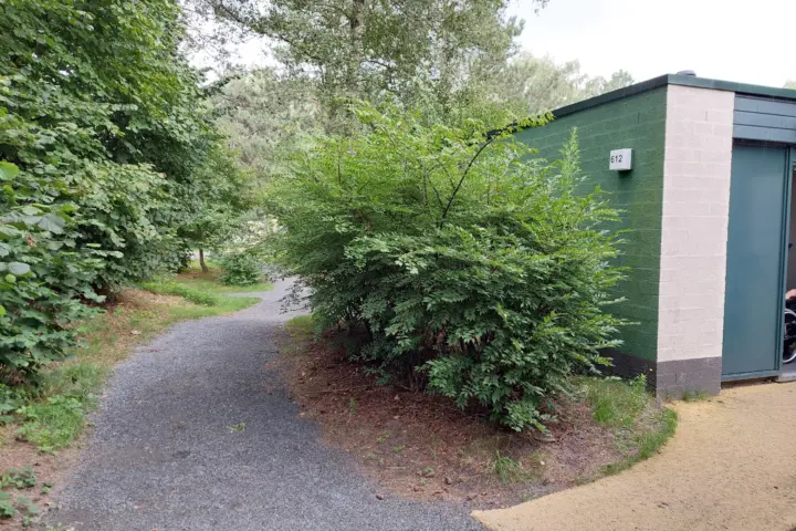 Accommodatie Cottage 615 in Westerhoven