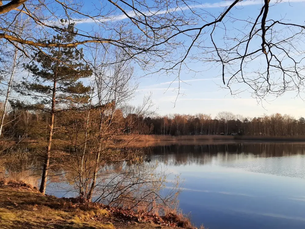 Accommodatie Cottage 905 in Westerhoven