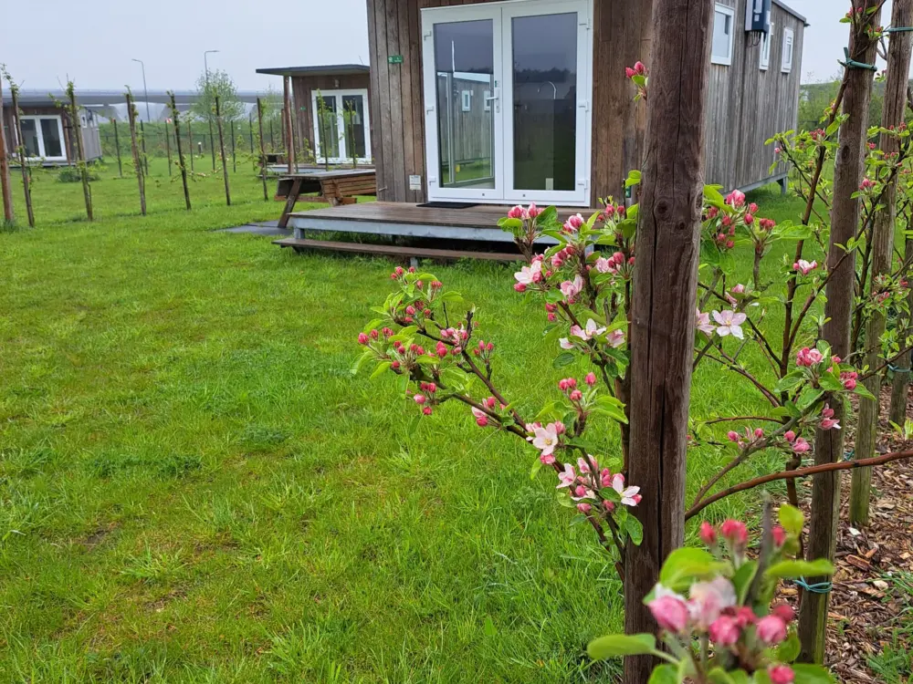 Accommodatie De Weitens Cabanas en Camperplaatsen in Valkenswaard