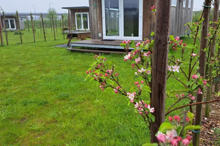 Accommodatie De Weitens Cabanas en Camperplaatsen in Valkenswaard