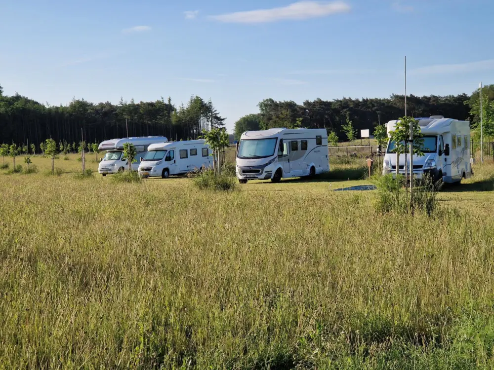 Accommodatie De Weitens Cabanas en Camperplaatsen in Valkenswaard