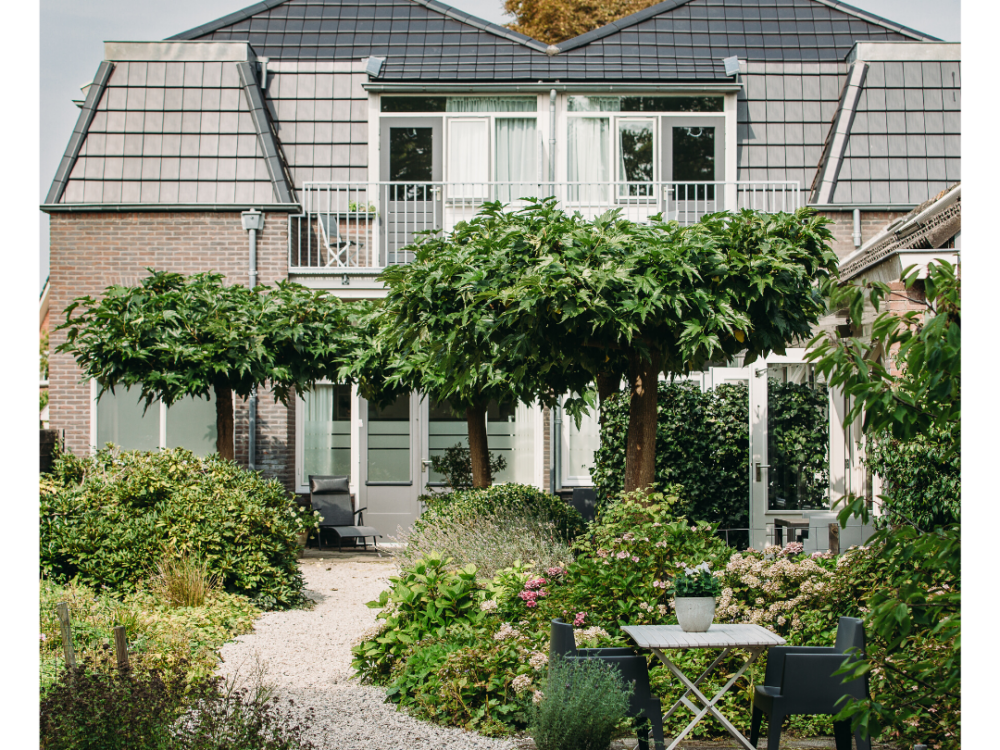 Accommodatie Kranenbergh Boutique Apartments in Bergen