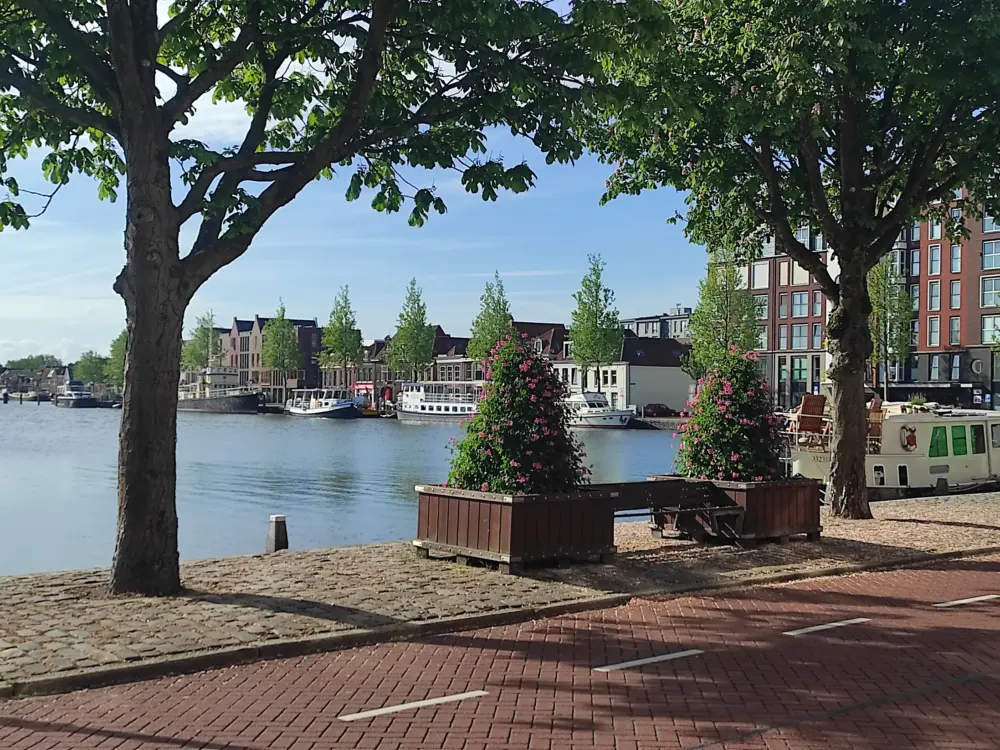 Bed & Breakfast Luttik Oudorp 30 in Alkmaar
