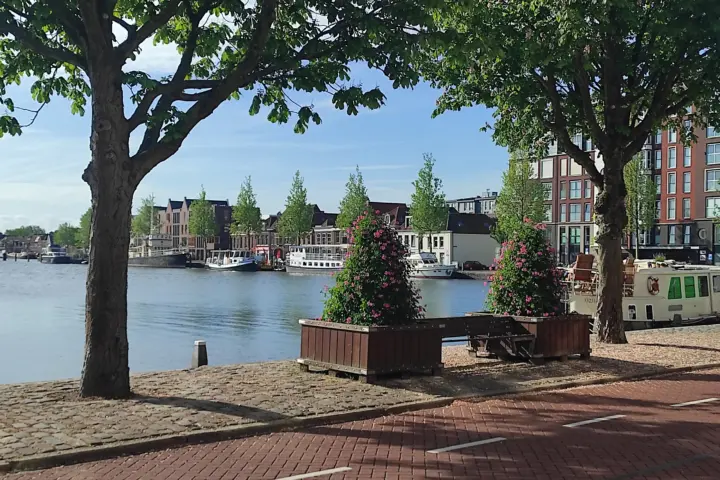 Bed & Breakfast Luttik Oudorp 30 in Alkmaar
