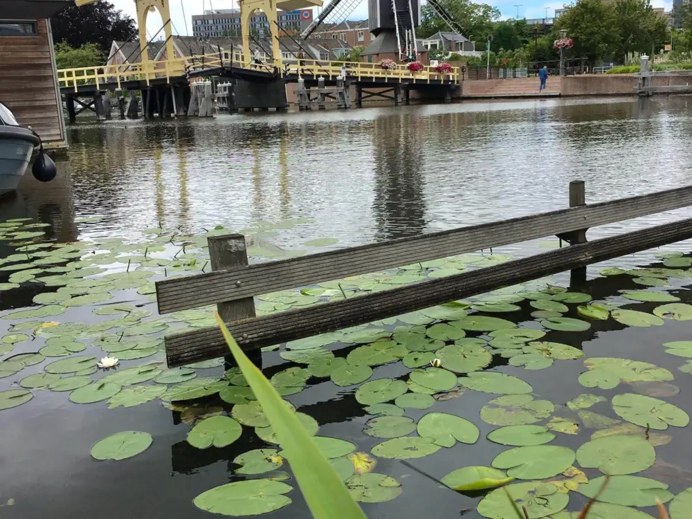 Bed & Breakfast Macbed in Alkmaar