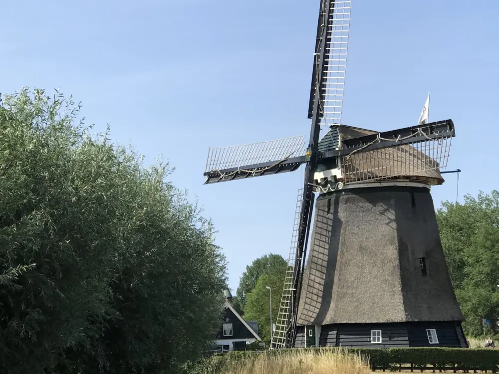 Bed & Breakfast Macbed in Alkmaar