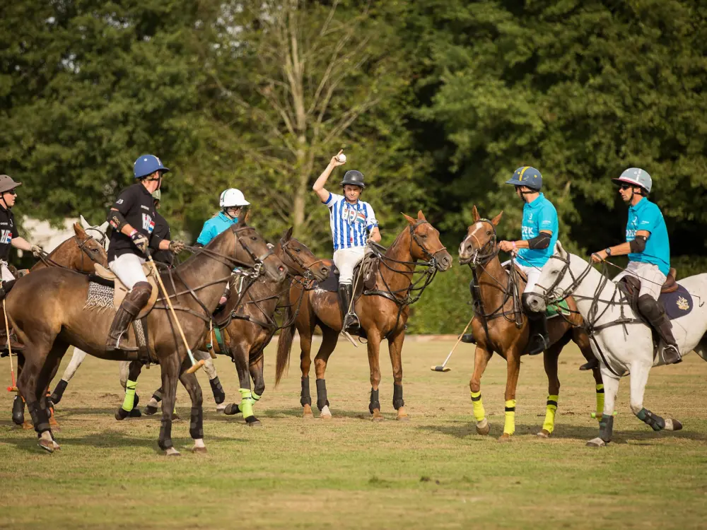 Poloclub Waalre in Waalre