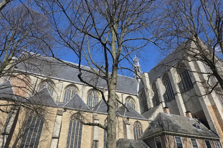 Restaurant Stadskaffee Laurens in Alkmaar