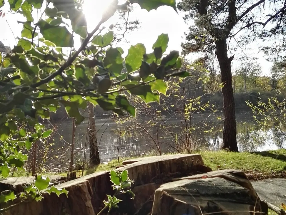 Accommodatie Stichting Het Wolders Ven in Waalre