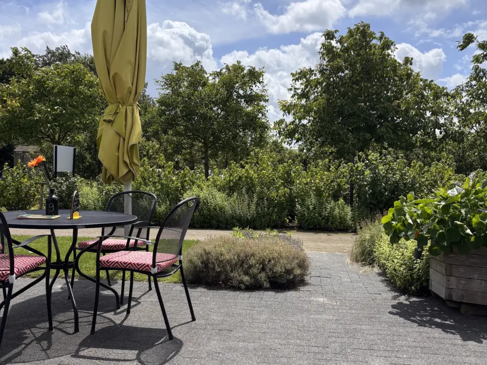 Wilma's Terras in Valkenswaard