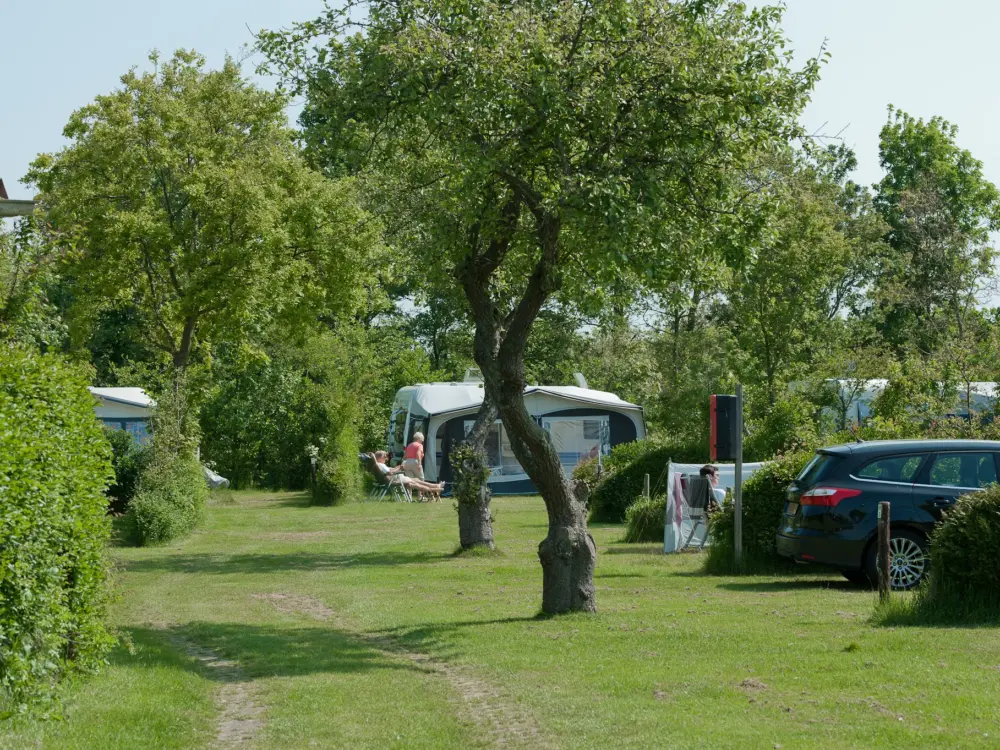 Accommodatie Ardoer camping Ginsterveld in Burgh-Haamstede