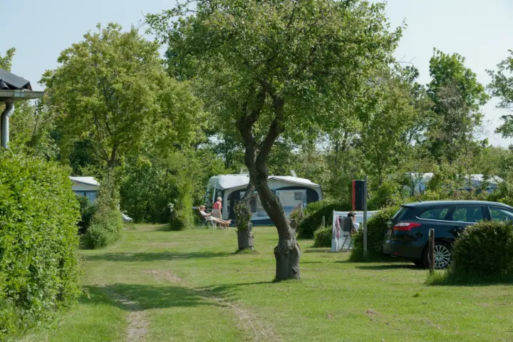 Accommodatie Ardoer camping Ginsterveld in Burgh-Haamstede
