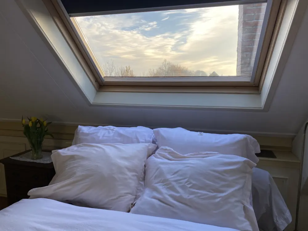 Bed & Breakfast Art+bed and breakfast in 's-Graveland