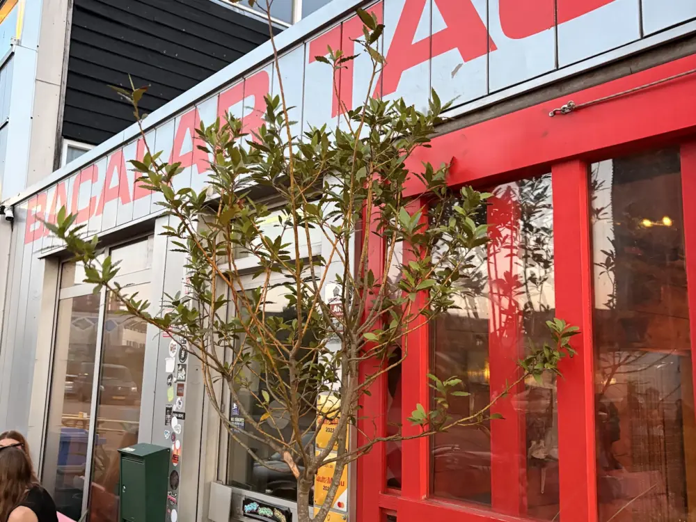 Restaurant Bacalar in Amsterdam