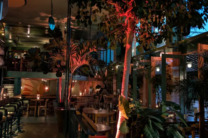 Bar Botanique | Restaurant Amsterdam-Oost in Amsterdam