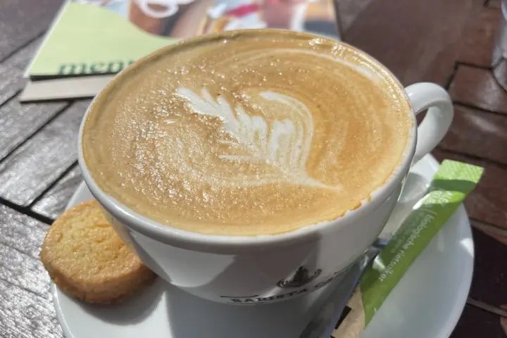 Barista Cafe Groningen Paddepoel. in Groningen