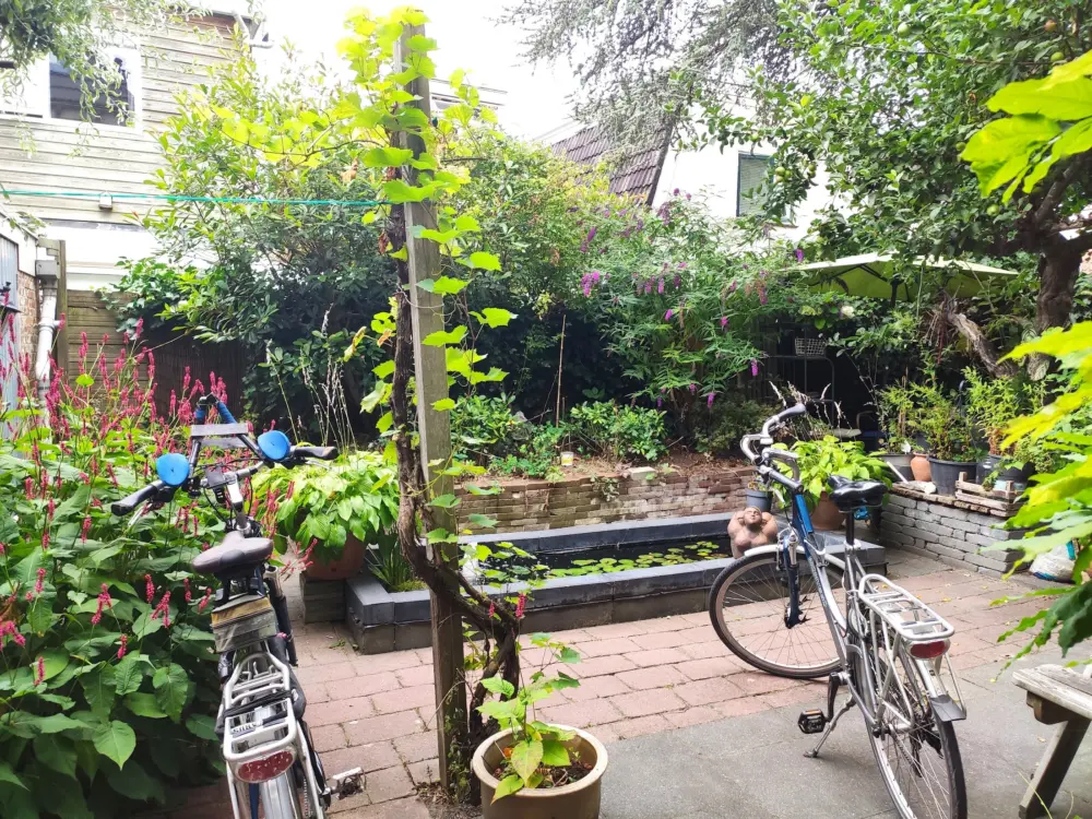 Hotel B&B Cessinas in Groningen