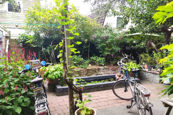 Hotel B&B Cessinas in Groningen