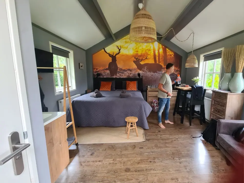 B&B Het Drostenerf in Beemte Broekland
