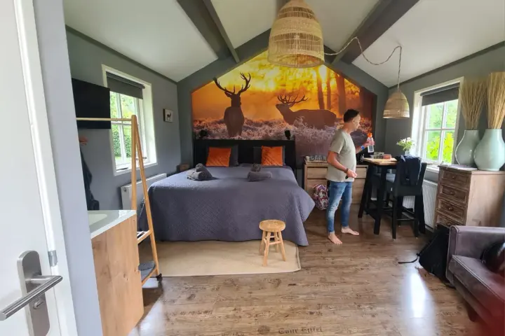 B&B Het Drostenerf in Beemte Broekland