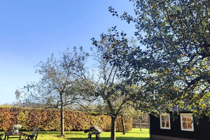 B&B Het Drostenerf in Beemte Broekland