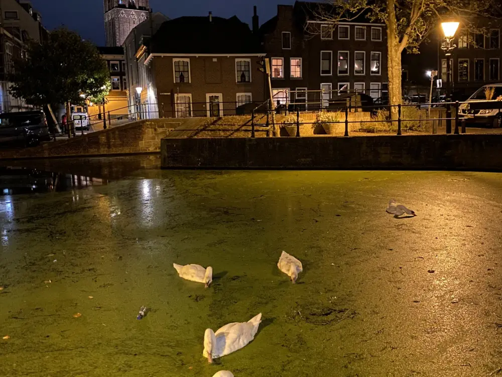 Hotel B&B Museumkwartier Schiedam in Schiedam