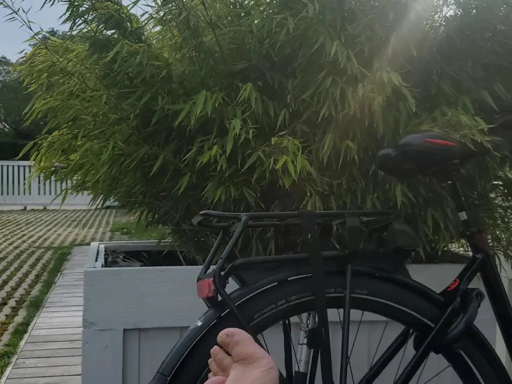 Pension B&B Park 16hoven in Rotterdam