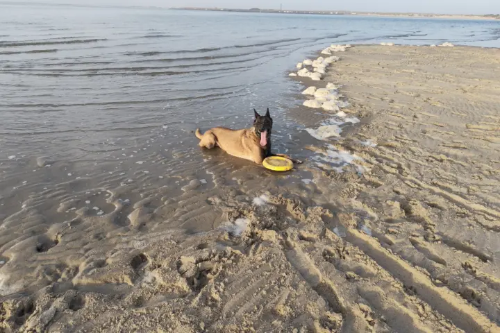 Accommodatie Beachpark in Renesse