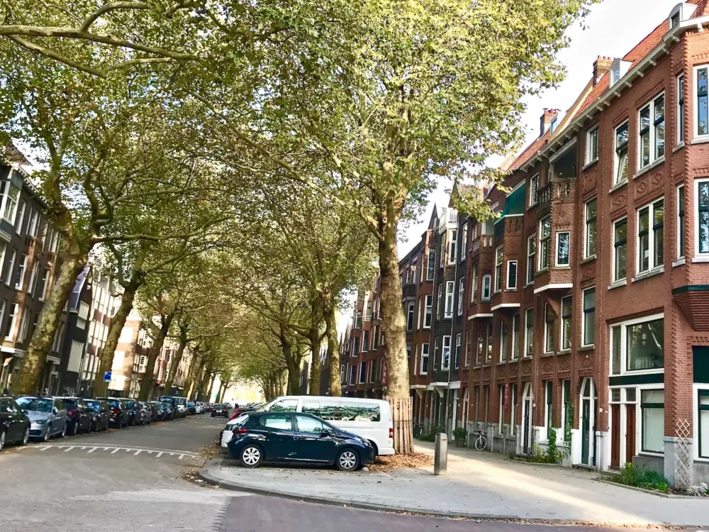 Bed and Breakfast Rotterdam in Rotterdam