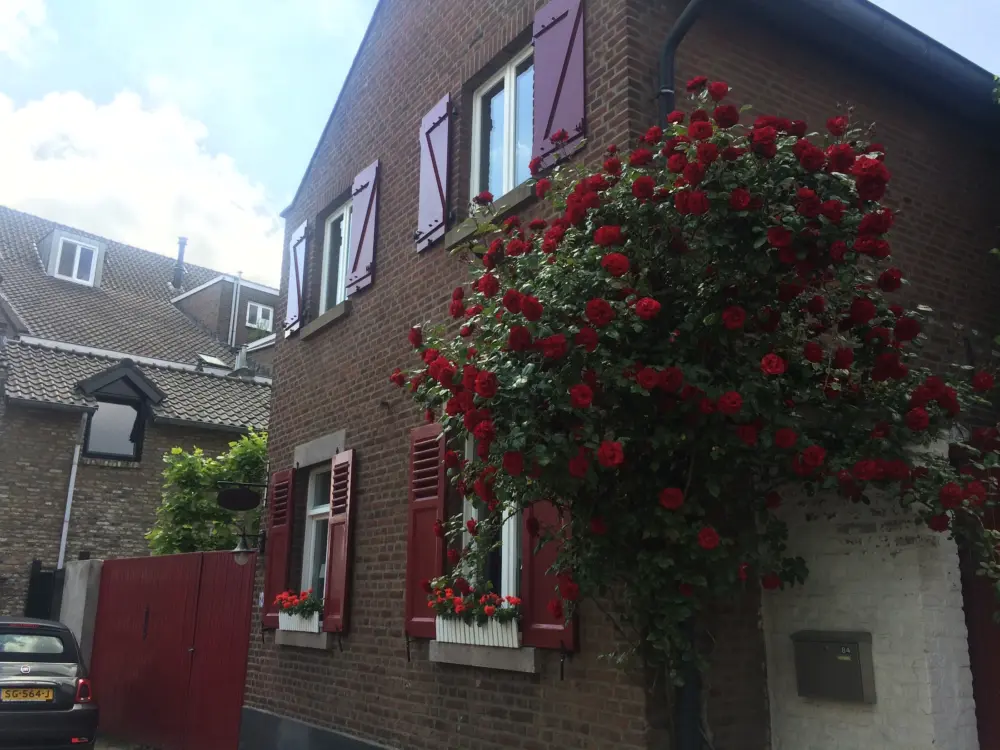 Bed & Breakfast De Roej Poort in Maastricht