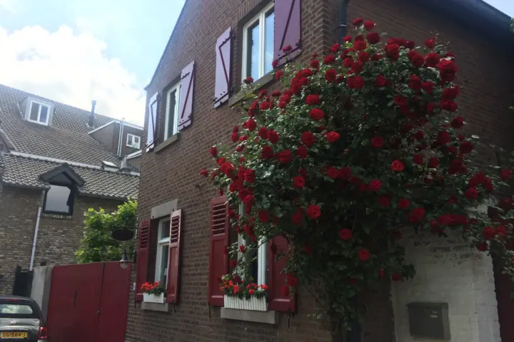 Bed & Breakfast De Roej Poort in Maastricht