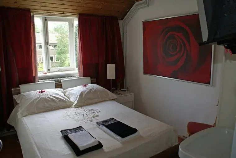 Bed & Breakfast de Ster in Eindhoven