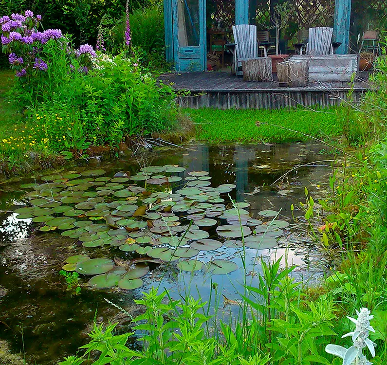 Bed & Breakfast Gerlachus in Valkenburg