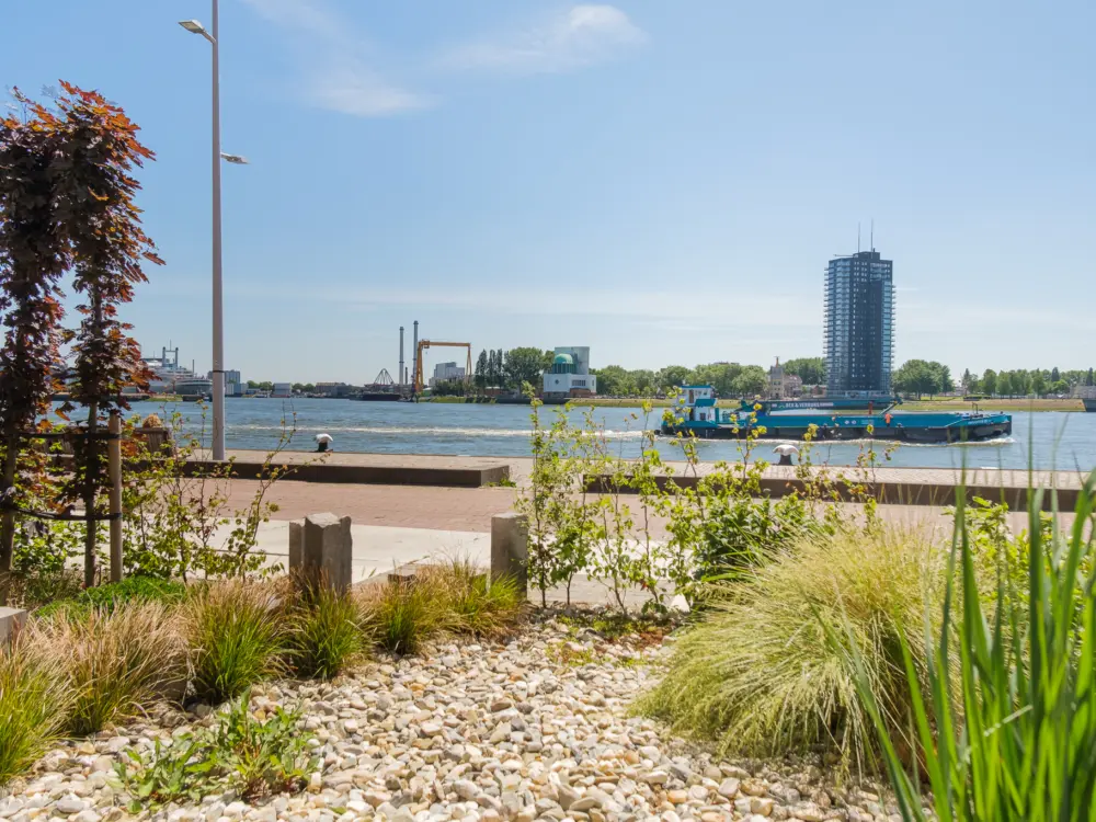 Bed & Breakfast Maasview in Rotterdam