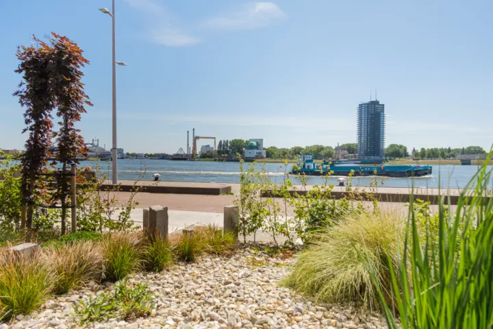 Bed & Breakfast Maasview in Rotterdam