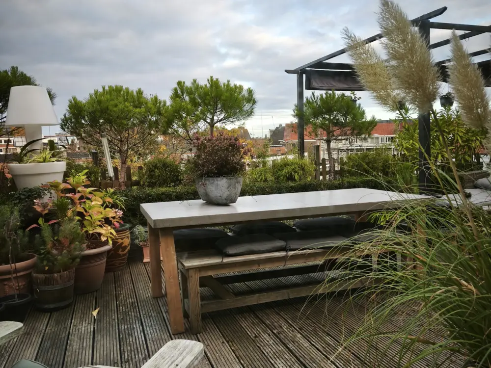 Blaine's B&B in Amsterdam