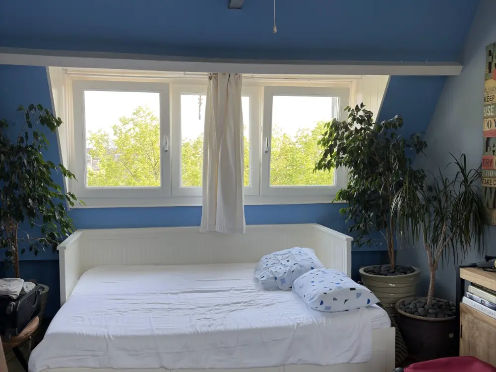 Blaine's B&B in Amsterdam