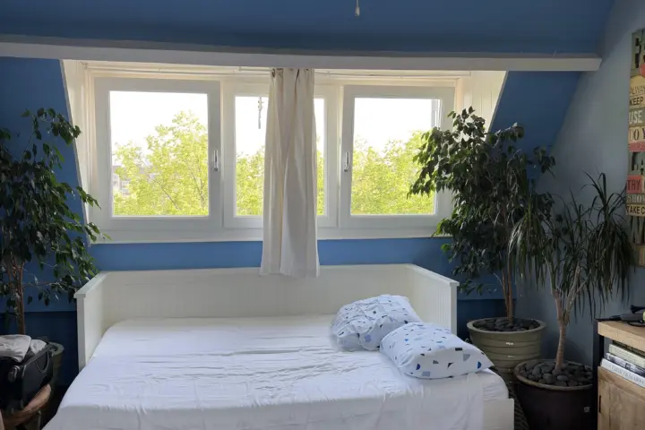 Blaine's B&B in Amsterdam