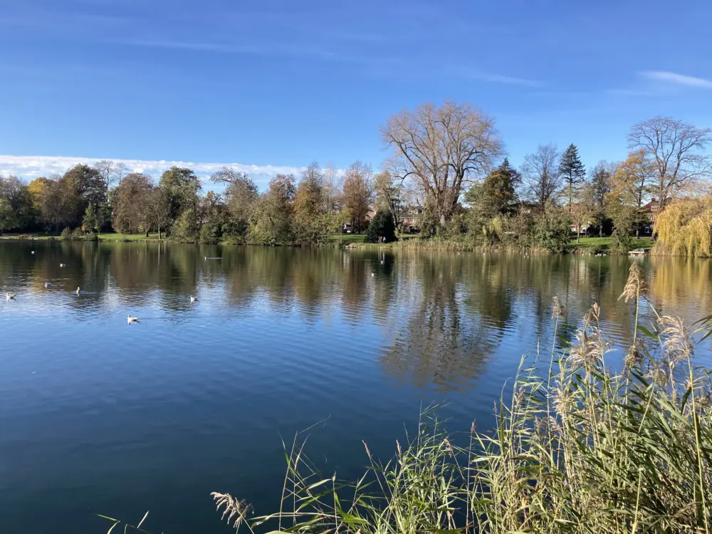 Restaurant Bloem in 's-Hertogenbosch