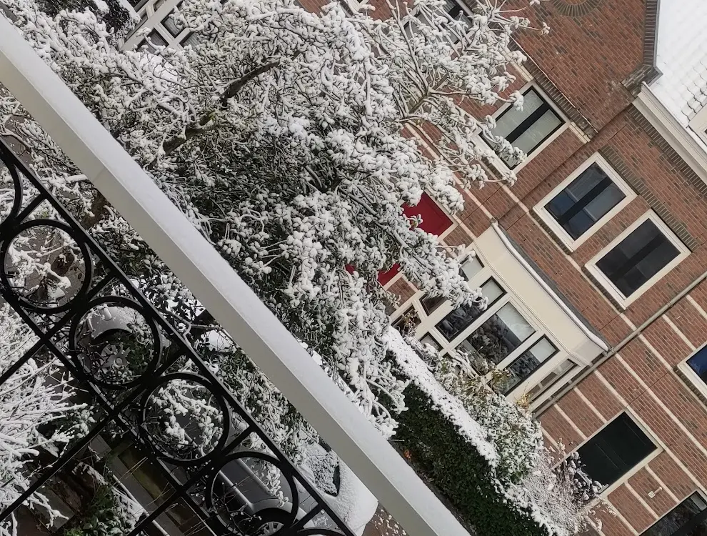 Hotel bussum room on the top in Bussum