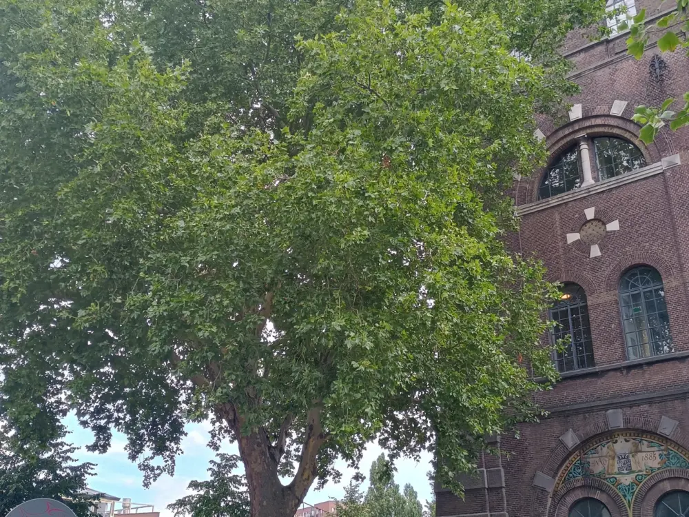 Restaurant Café Herman in 's-Hertogenbosch