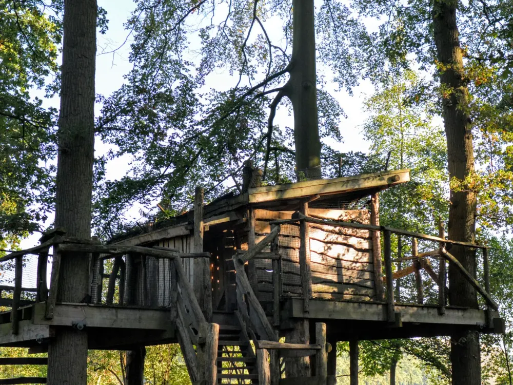 Café-Restaurant Brambergen in 's-Graveland